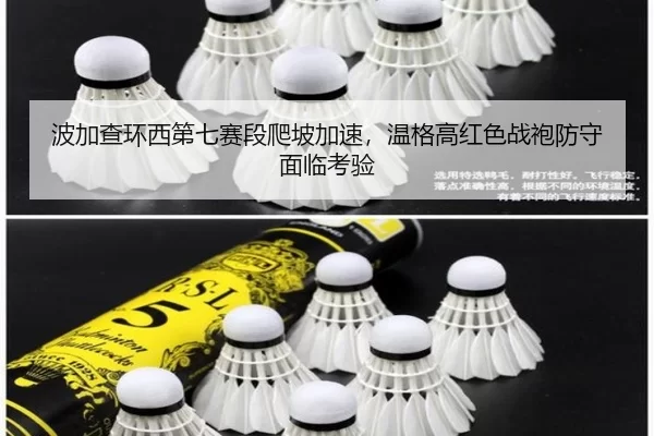bo-jia-cha-huan-xi-di-qi-sai-duan-pa-po-jia-su-wen-ge-gao-hong-se-zhan-pao-fang-shou-mian-lin-kao-yan-3-365.jpg