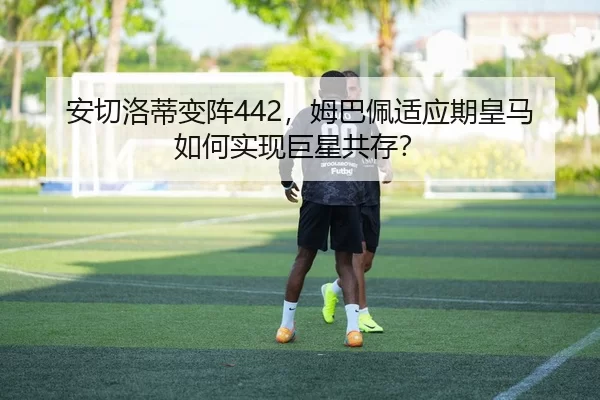 an-qie-luo-di-bian-zhen-mu-ba-pei-shi-ying-qi-huang-ma-ru-he-shi-xian-ju-xing-gong-cun-3-445.jpg