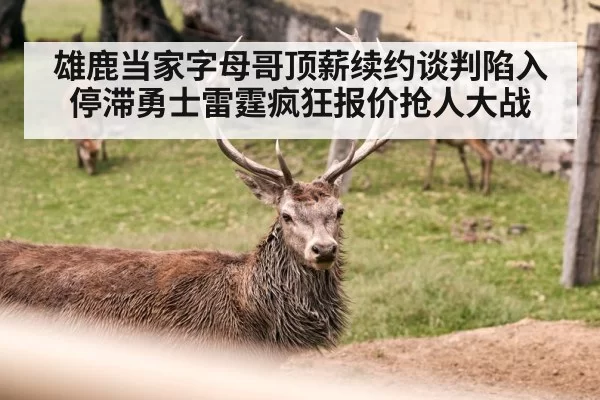雄鹿当家字母哥顶薪续约谈判陷入停滞勇士雷霆疯狂报价抢人大战